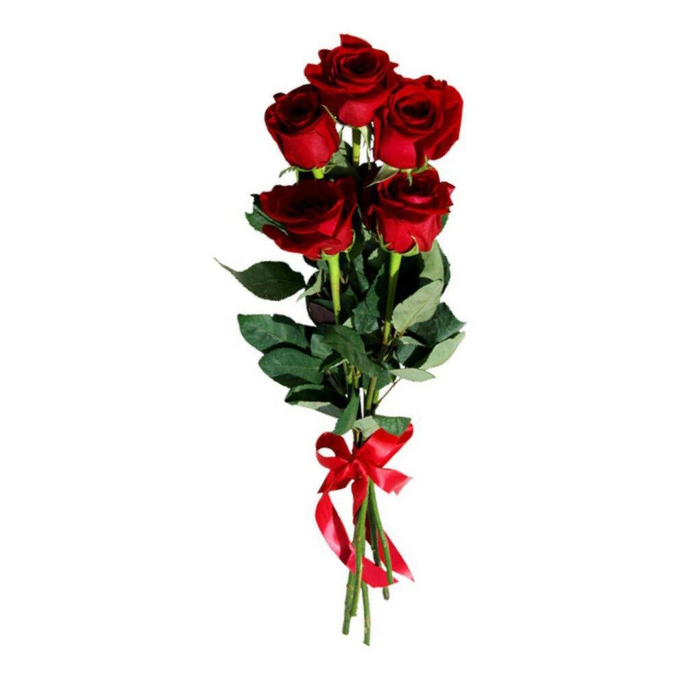 Букет из 3 красных роз с красной лентой 60 см, Россия